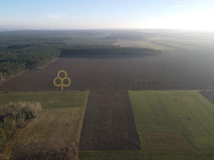 Duża działka rolna, Krzycko Wielkie 