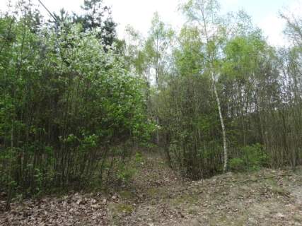 Działka budowlana na sprzedaż, 19206 m2, Miedniewice