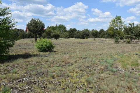 Działka budowlana na sprzedaż, 1039 m2, Mrozy