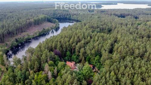 Agroturystyka w lesie nad jeziorem