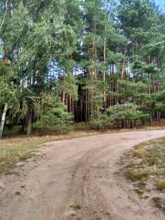 Działka,Tanowo,gm.Police,3166m2,plan-usługi.