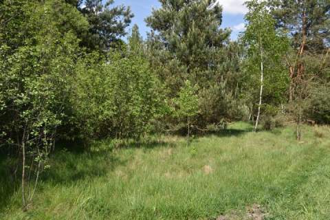 Działka budowlana na sprzedaż, 1120 m2, Mrozy