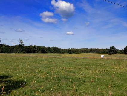 Działki budowlane z warunkami zabudowy - 1228 m2