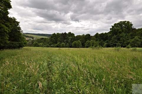 Działka leśna na sprzedaż, 136900 m2, Olszany