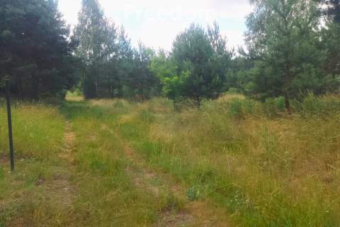 Działka rolno-leśna