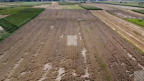 Działka 1,6 ha z WZ budownictwo mieszkaniowe i u