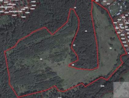 Działka leśna na sprzedaż, 136900 m2, Olszany