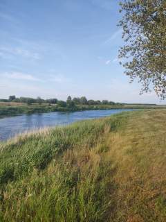 Działka z Potencjałem nad Rzeka Narew 8400m2 Targonie Wielki