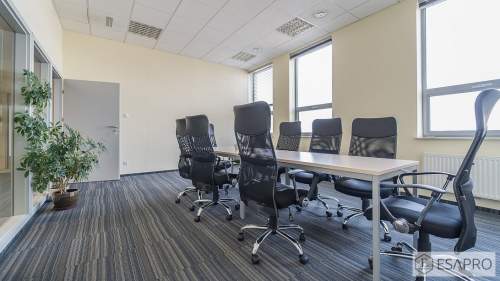 BIURA DLA BIZNESU-gabinety OPEN SPACE w BIUROWCU