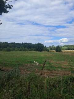 Działki budowlane o pow. 1177 m2 i 1255 m2, Murowaniec