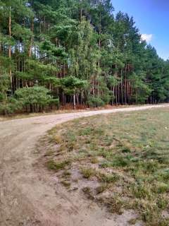 Działka Tanowo,0.3362ha,plan miejsc.-rolna.