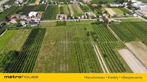 5 ha w jednym kawałku - Potycz, 40 km od Warszawy