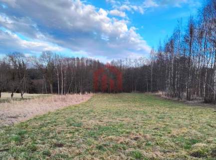 WOLICZKA 35 ar Działa budowlana z własnym lasem