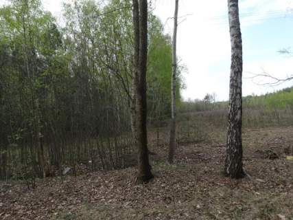 Działka budowlana na sprzedaż, 19206 m2, Miedniewice