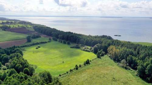 Działka rolna 1,54 ha Dziubiele gm Orzysz