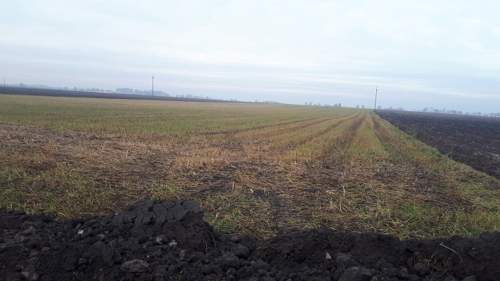 Działka rolna o pow. 4ha, Ilno- gm. Żelazków