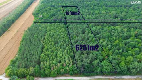 Działka Leśna Niemce - pow. 6251m2