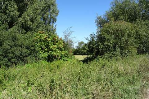 Działka leśna - 26.400m2 - DOBRA LOKALIZACJA 