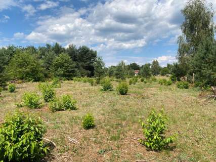 Działki nad jeziorem Lucieńskim , Miałkówek