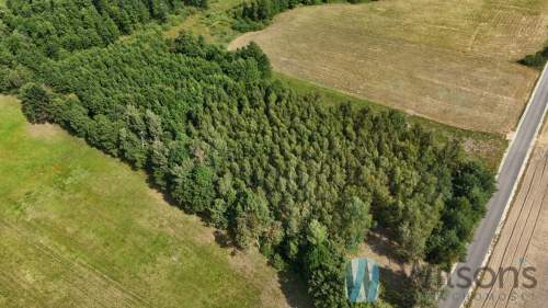 Zamieszkaj lub Inwestuj Działka 7100 m 