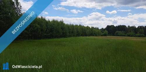 Sprzedam siedlisko 1,6 ha NIE potrzebna zgoda Kowr