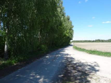 Działka leśna na sprzedaż, 41800 m2, Nowa Wieś