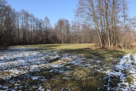 Działka budowlana na sprzedaż, 31100 m2, Stary Karolinów