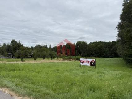 WOLICZKA 35 ar Działa budowlana z własnym lasem