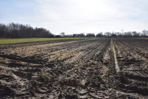 Działka budowlana na sprzedaż, 3700 m2, Regów