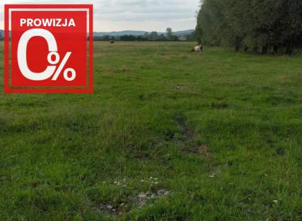 Bardzo ciekawa działka w Faściszowej