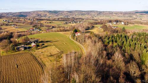 Działka leśna 30,25 ar Tuchów