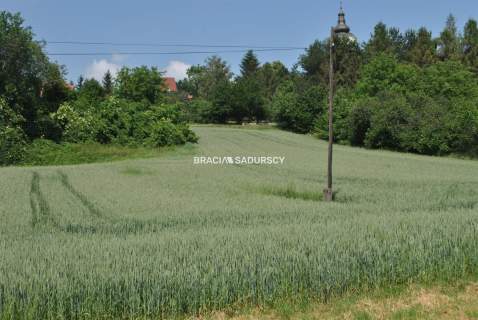 Duża działka inwestycyjna w Brzeziu gm.Kłaj