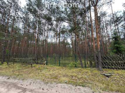 Działka budowlana z własnym lasem