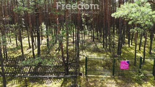 Działka budowlana z własnym lasem