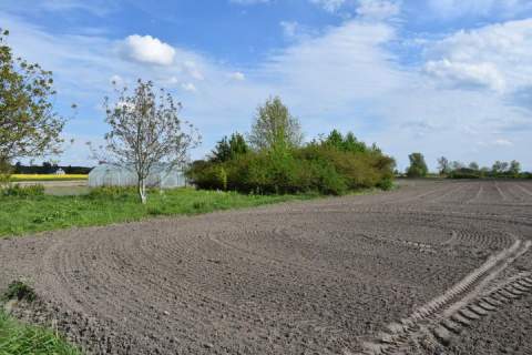 Działka rolna na sprzedaż, 11200 m2, Czerwona Niwa
