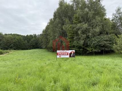 WOLICZKA 35 ar Działa budowlana z własnym lasem