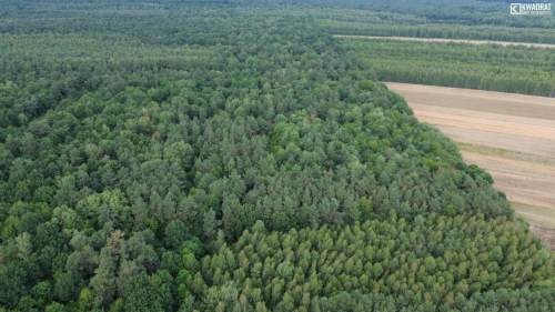 Działka Leśna Niemce - pow. 1630m2