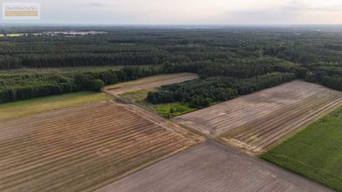 Działka do zabudowy budowlanej w leśnej otulinie