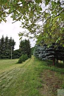 Działka leśna na sprzedaż, 136900 m2, Olszany
