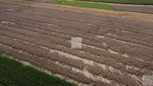 Działka 1,6 ha z WZ budownictwo mieszkaniowe i u