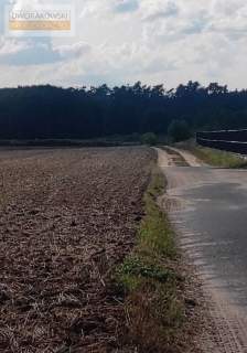 Działka do zabudowy budowlanej w leśnej otulinie