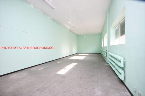 Lokal użytkowy do wynajęcia, 244 m2, Świdnica