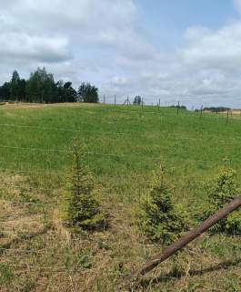 Działka na sprzedaż, 1000 m2, Orzechowo