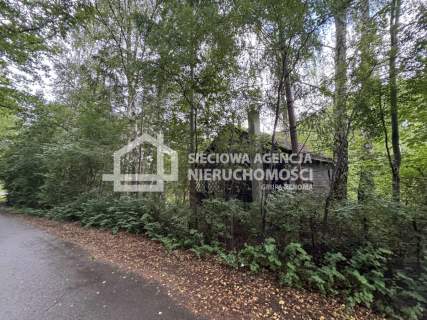 Piękna działka 3,3 ha w Łapinie gm. Kolbudy