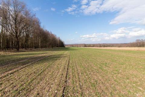 Działka rekreacyjno rolna Czarny Las 1,49ha