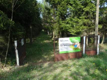 Działka budowlana na sprzedaż, 6300 m2, Adamowice