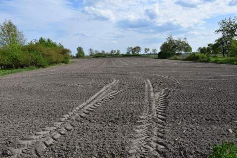 Działka rolna na sprzedaż, 11200 m2, Czerwona Niwa