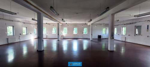 Lokal 242 m2 usługi biuro produkcja