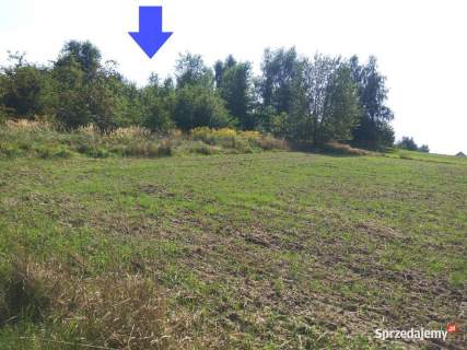 Działki budowlane 1,36 ha na dobrą inwestycję Markowice
