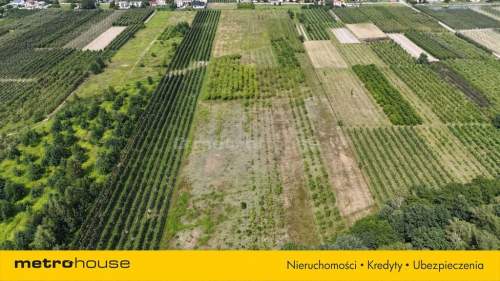 5 ha w jednym kawałku - Potycz, 40 km od Warszawy